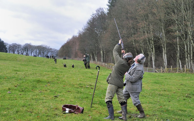 Pheasant Shooting Dalhousie Estates